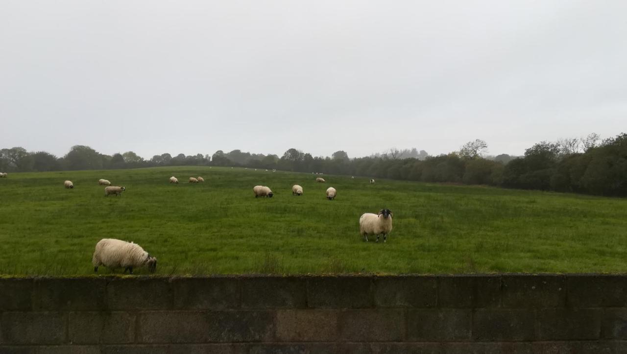 Lilac Manor Sligo Eksteriør billede